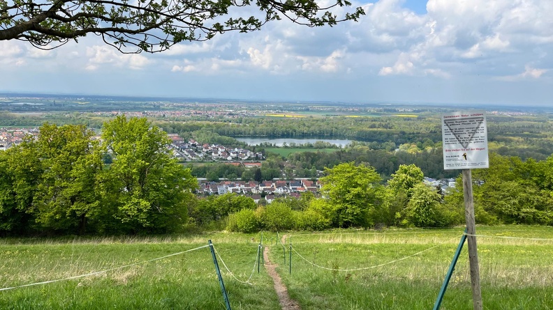 22-04-25 13-56-48 0633.jpeg